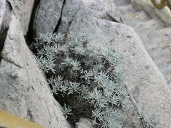 -南麂列岛