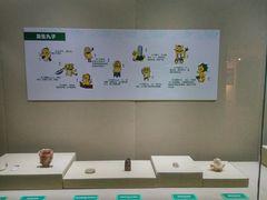 -烟台市博物馆