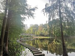 -重庆彩云湖湿地公园