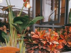 -顺德一品粥·20年凤城老字号(芳村店)
