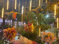 -正佳雨林生态植物园