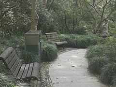 -宋宴(虎跑店)