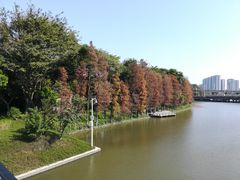 -顺峰山公园