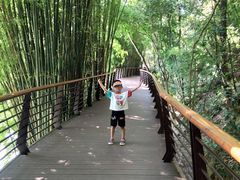 -炎帝陵景区