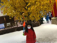 -宁波冰雪大世界(北仑区)