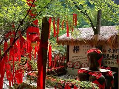 -刘伯温故里景区百丈漈