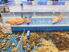 -锦色·烧鹅·海鲜(臻享店)