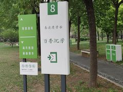 -泰丰公园