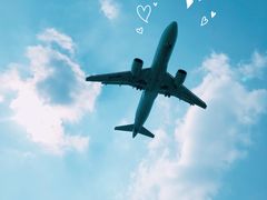 -空港花田景区