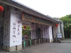 -上海海湾国家森林公园