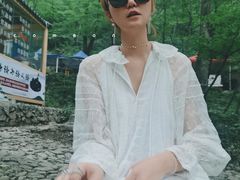 -牛背梁国家森林公园