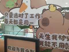 -凯德MALL(西直门店)
