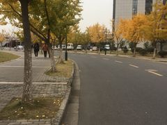 -南京航空航天大学(将军路校区)