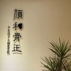 -颜和骨正·明哲式骨相美学整骨