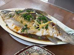 -聂记粤菜馆(鼓西路店)