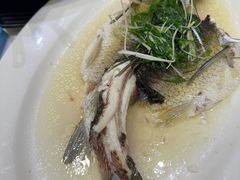 -稻香酒家·35年老字号(侨光店)