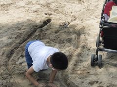 -东郊湿地公园