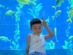 -南昌融创海世界