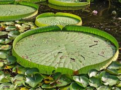 -共青国家森林公园-售票处