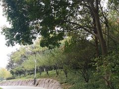 -赭山公园