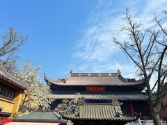 -灵谷景区