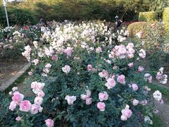 -人民公园(罗湖区)