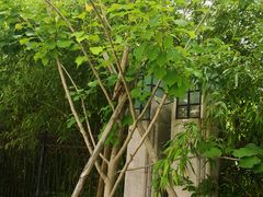-舟山医院