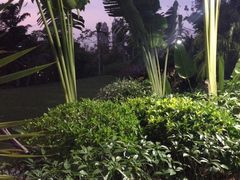 iphone_upload_pic-三亚凤凰水城凯莱度假酒店