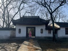 -上海佘山国家森林公园天马山园