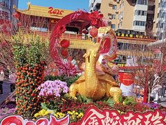 -越秀西湖花市(广州城市广场花卉店)