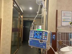 -宠爱国际动物医院· 猫科· 外科·中兽医(长白店)