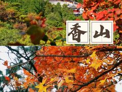 -香山公园