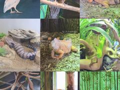 -海合安武汉极地海洋公园