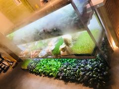 -鲜货俚鲜火锅(青果路店)