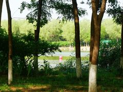 -大兴滨河森林公园
