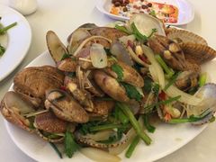 -越海渔村