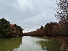 -上海海湾国家森林公园