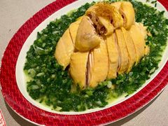 -圆苑(静安寺店)