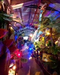 -恐龙探索乐园(磁器口店)