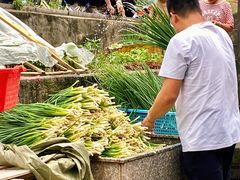 -金莲葱饼
