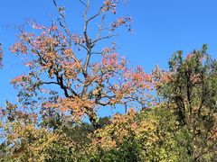 -黔灵山公园-南门售票处