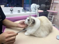 -FAELING PETS美天灵宠物(富力广场店)