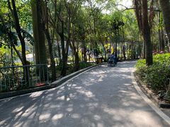 -广东茂名森林公园