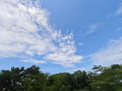 -三亚亚龙湾人间天堂鸟巢度假村