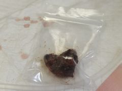 -安安宠医·安宠宠物医院