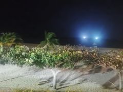 -渔家火锅·海鲜自助餐·演艺(亚龙湾天域酒店)