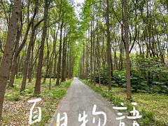 -上海滨江森林公园