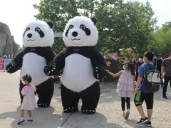 -西安秦岭野生动物园