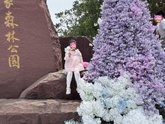 -江苏三台山国家森林公园