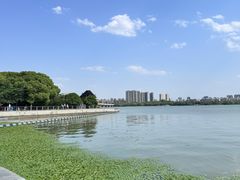 -蠡湖大桥公园
